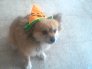 Screen Shot 2014-10-19 at 1.49.05 AM