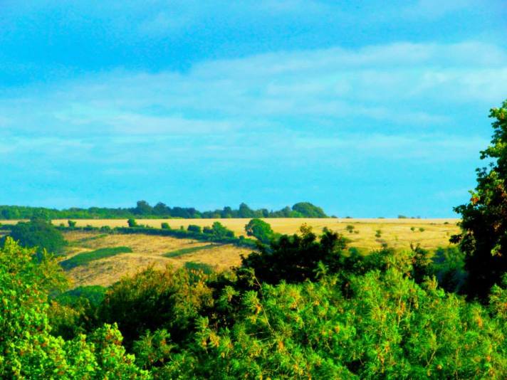 578675_10201562871466088_706578753_n